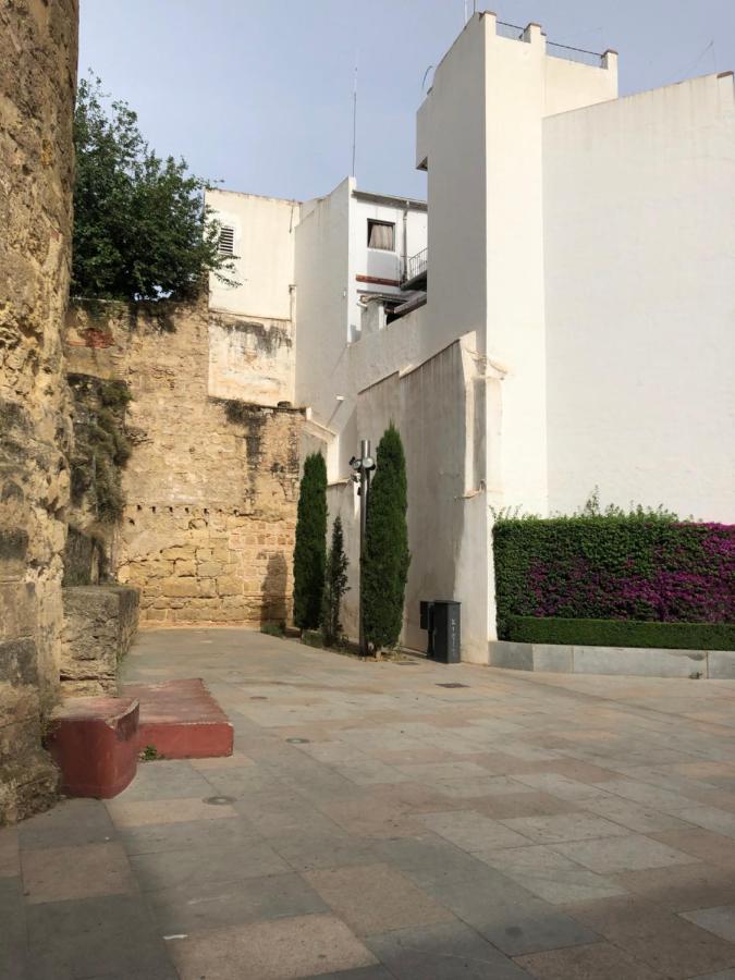 La Regaora Apartamento 科爾多瓦 外观 照片